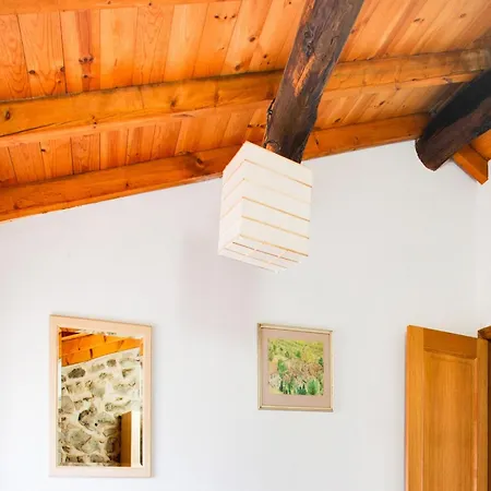 Traditional In Ribeira Sacra With Garden