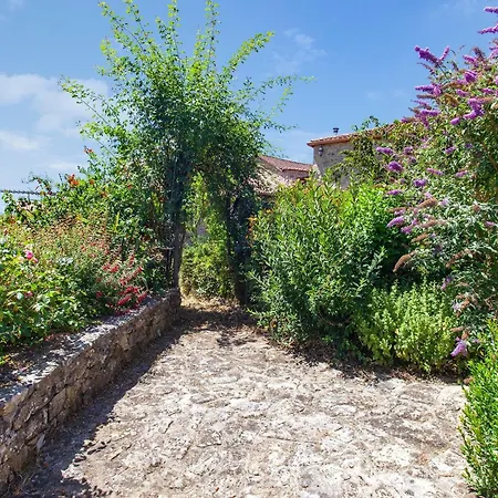 Holiday home Traditional In Ribeira Sacra With Garden