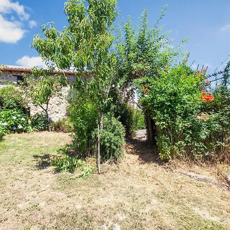 Holiday home Traditional In Ribeira Sacra With Garden Castillon (Galicia)