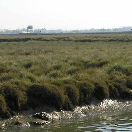 Traditional In Ribeira Sacra With Garden Vakantiehuis *