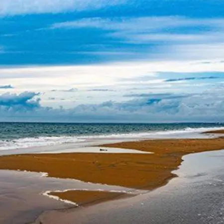 Traditional In Ribeira Sacra With Garden *